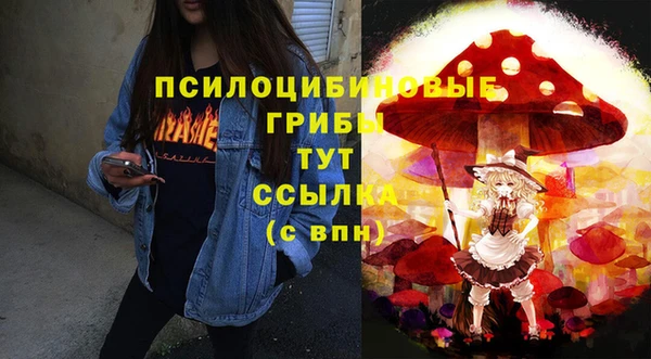 крисы Алзамай