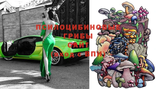 крисы Алзамай